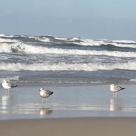 Homestay szállás Kaszubska - Przepyszne Sniadanie Na Miejscu *