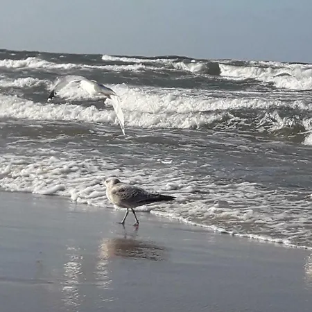Kaszubska - Przepyszne Sniadanie Na Miejscu Homestay szállás Jastrzębia Góra