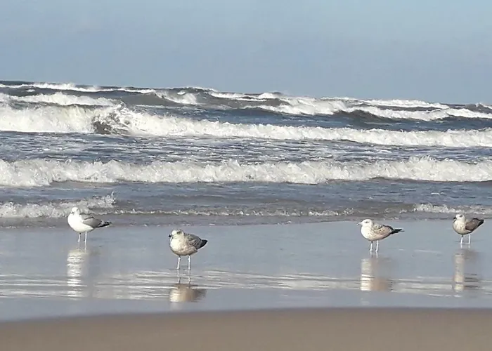 منزل للإقامة Kaszubska - Przepyszne Sniadanie Na Miejscu *