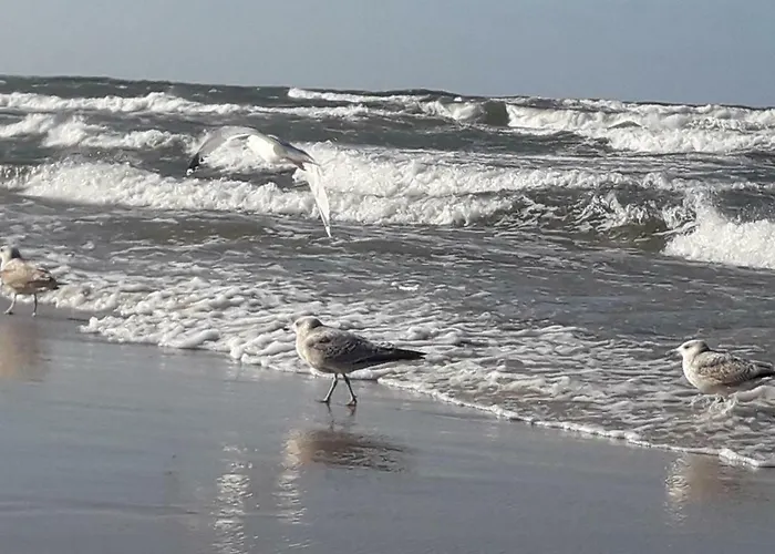 Kaszubska - Przepyszne Sniadanie Na Miejscu منزل للإقامة Jastrzębia Góra